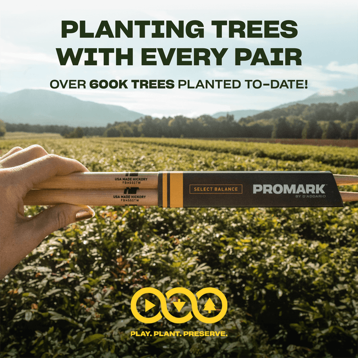 Promark Classic Forward 5A Hickory Drumsticks, Oval Wood Tip, 4-Pack product image
