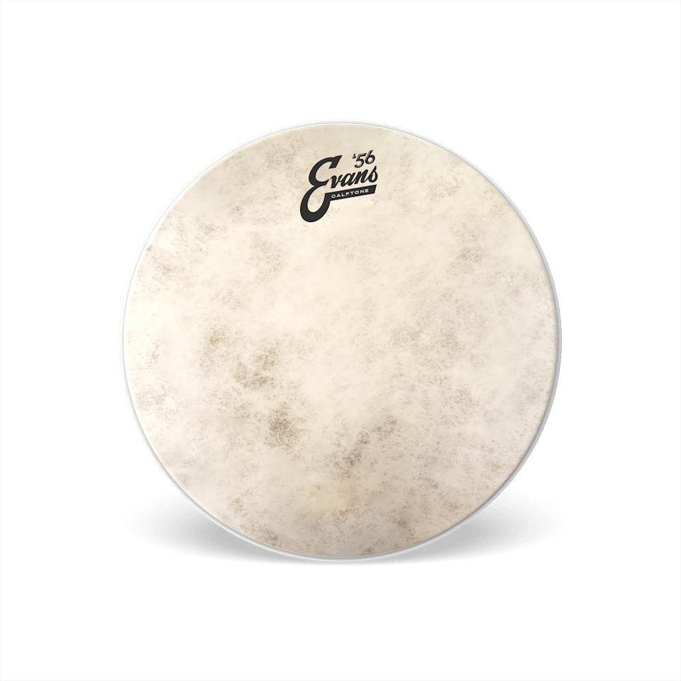 Evans Calftone 57 Drum Head 14"