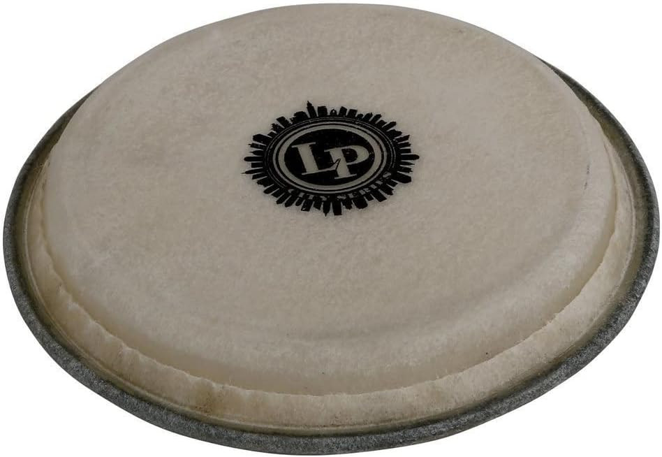 Latin Percussion Small City Bongo Head