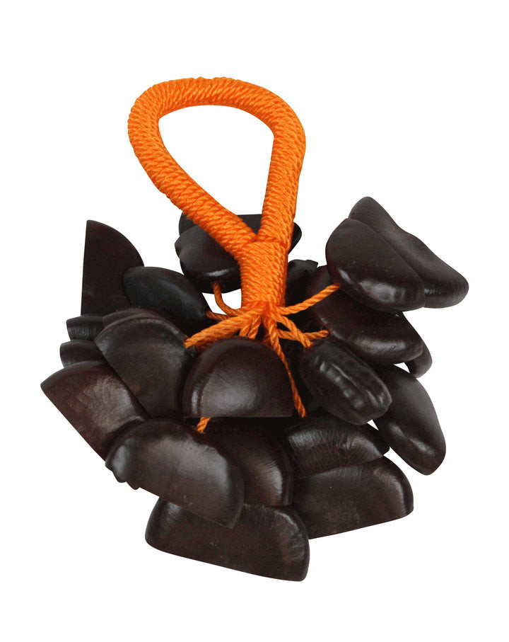 Toca Seed Pod Shaker