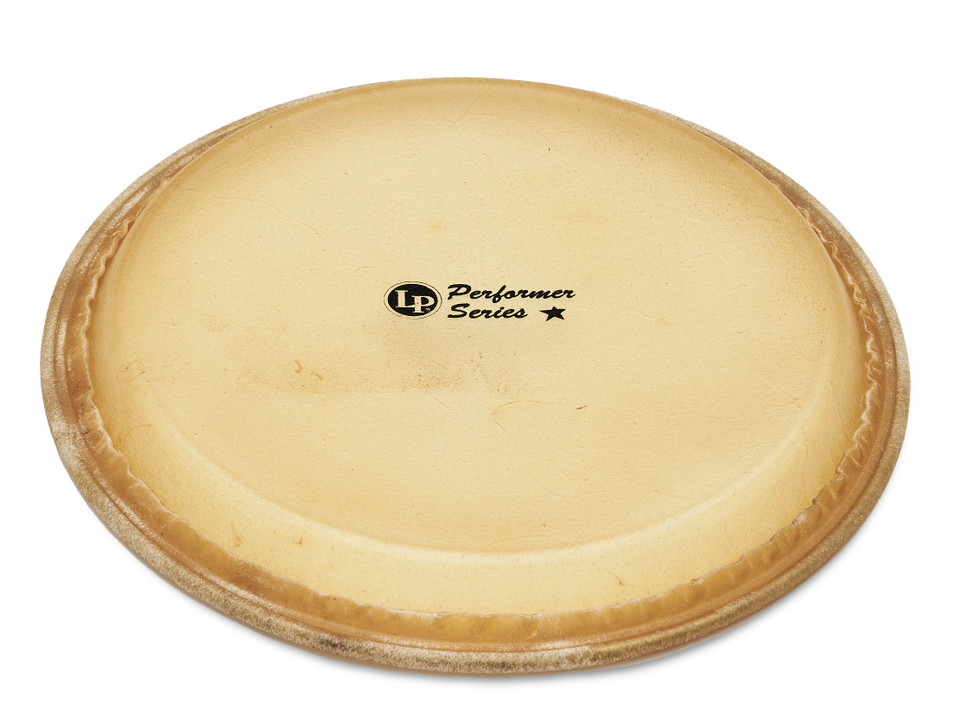 11" LP Performance Series Quinto Head product image 2