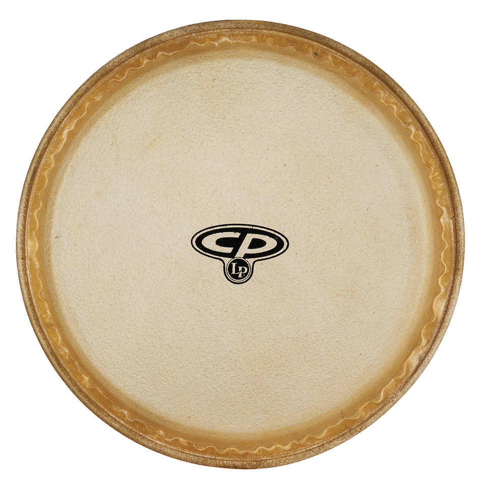 CP 11" MTD Conga Head product image