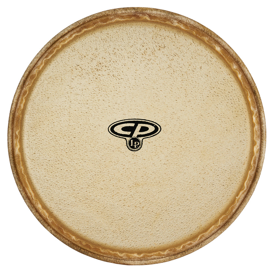 CP 12" MTD Conga Head product image