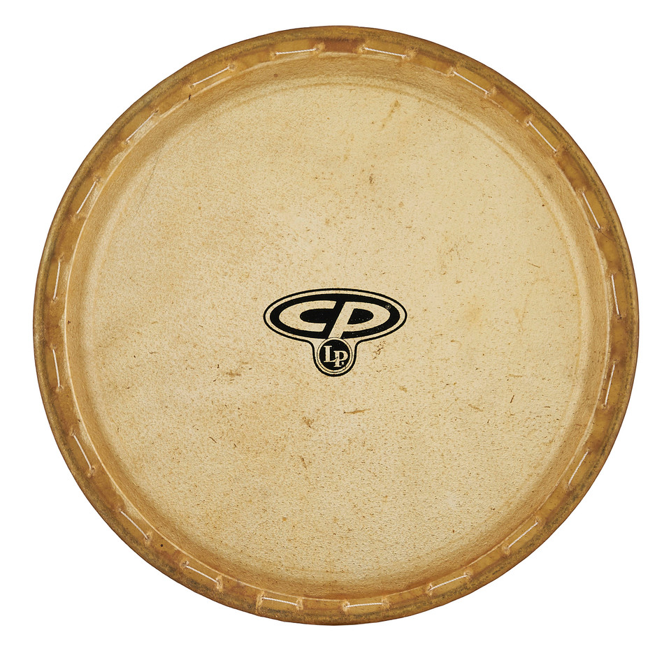 CP 10" Conga Head for CP646/CP643 product image