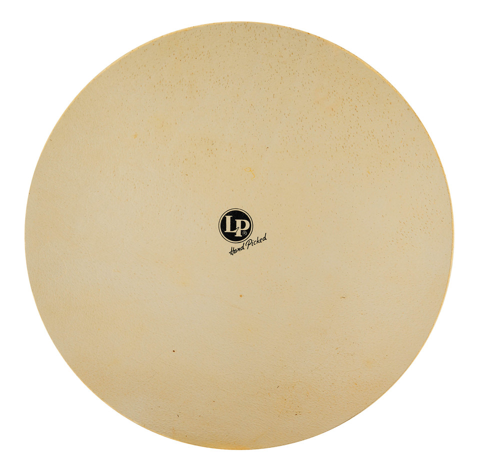 LP 19" Deluxe Conga Skin product image