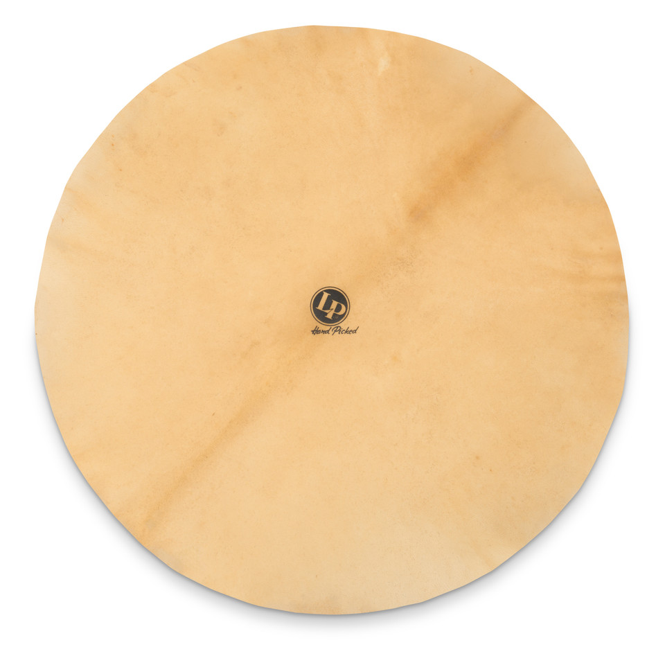 LP Flat Goatskin Head for Djembe, 22" product image