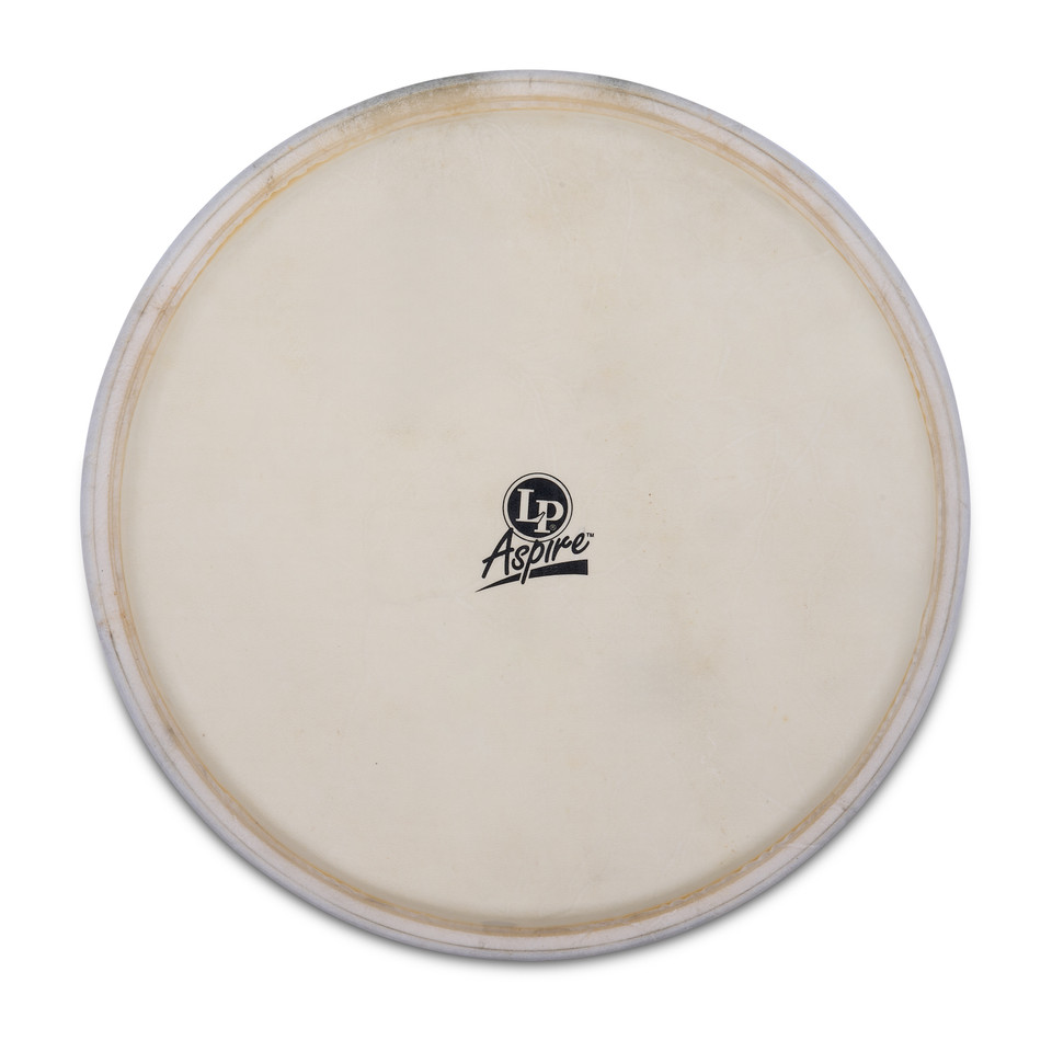 LP Djembe Head LPa630 & Caliente, 12-1/2" product image