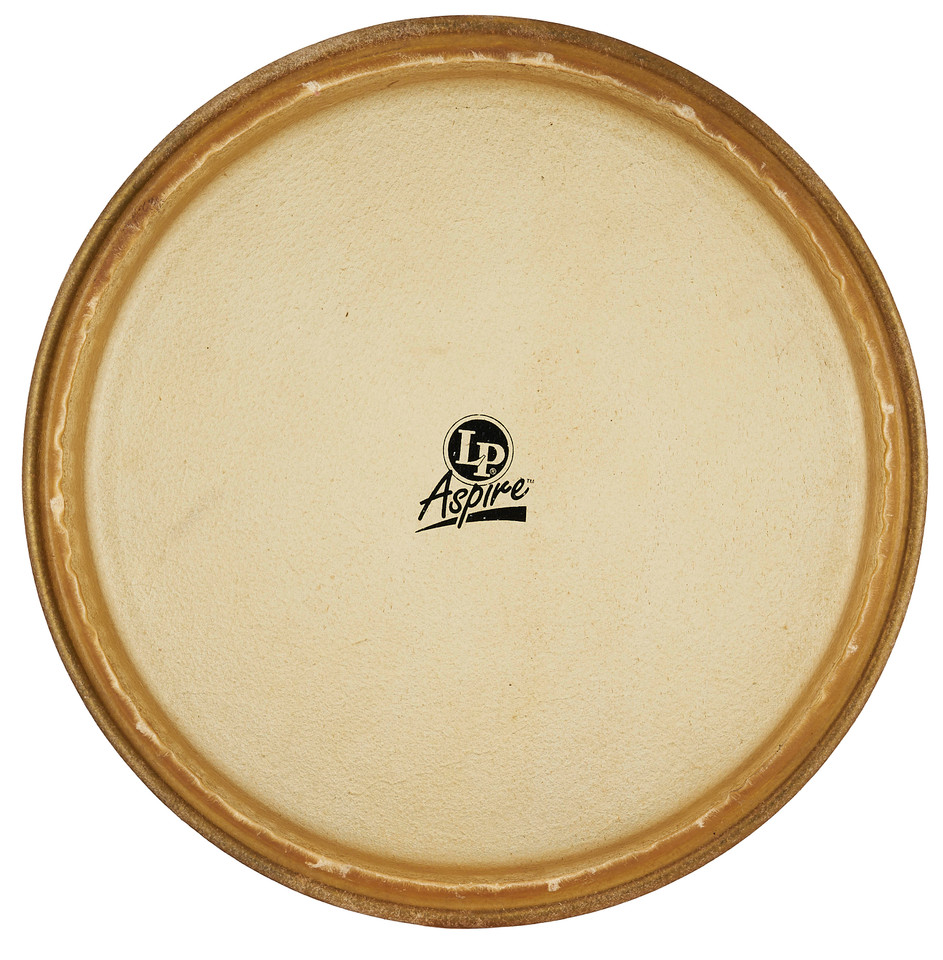 LP Aspire 12" Rawhide Tumba Head product image