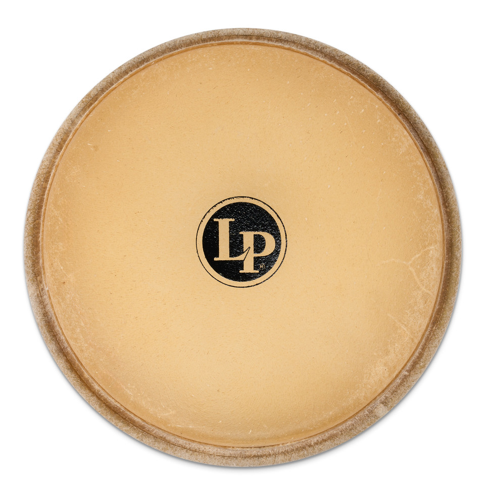 LP Dandy Bongo Head, 7-1/4" product image