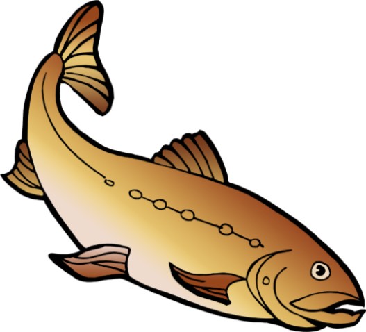 fish-for-website-page.jpg