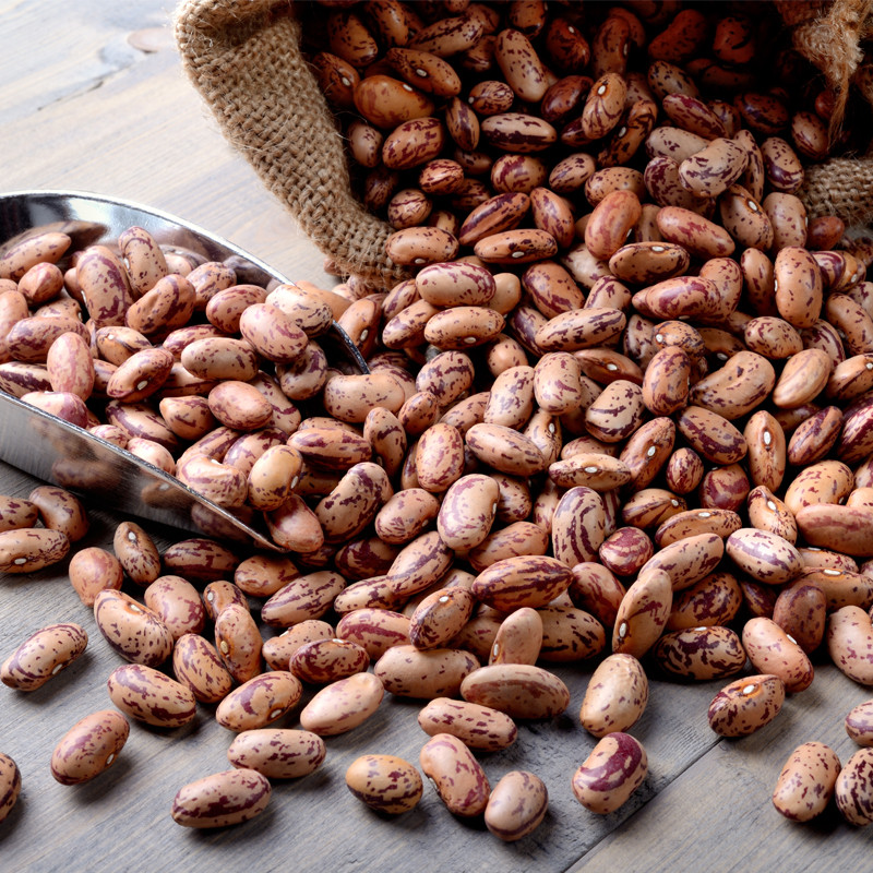 Dried Pinto Beans Wholesale