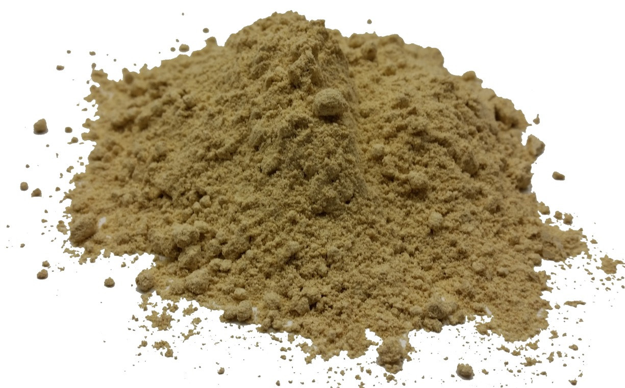 Fennel Ground Powder Wholesale by SPICESontheWEB