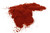 Smoked Paprika Wholesale Image by CHILLIESontheWEB Smoked Paprika Wholesale Image by CHILLIESontheWEB
