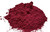 Beetroot Powder Wholesale Image by SPICESontheWEB Beetroot Powder Wholesale Image by SPICESontheWEB