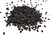 Sesame Seeds Black Wholesale Image by SPICESontheWEB Sesame Seeds Black Wholesale Image by SPICESontheWEB