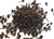 Voatsiperifery Jungle Pepper Wholesale Image by SPICESontheWEB Voatsiperifery Jungle Pepper Wholesale Image by SPICESontheWEB