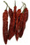 Vietnamese Chilli Wholesale Image by CHILLIESontheWEB Vietnamese Chilli Wholesale Image by CHILLIESontheWEB