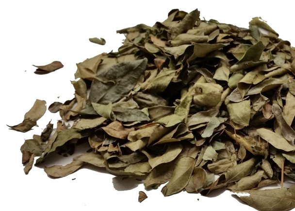 Curry Leaves Organic Wholesale Image by SPICESontheWEB