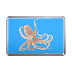 Octopus - Plastic Fridge Magnet