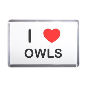 I Love Owls - Plastic Fridge Magnet I Love Owls - Plastic Fridge Magnet