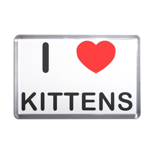 I love Kittens - Plastic Fridge Magnet