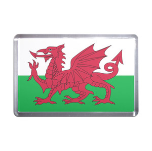 Wales Flag - Plastic Fridge Magnet