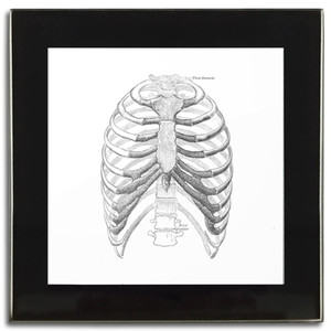 Ribcage - Square Glass Coaster
