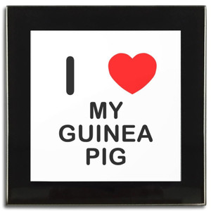 I Love My Guinea Pig - Square Glass Coaster I Love My Guinea Pig - Square Glass Coaster