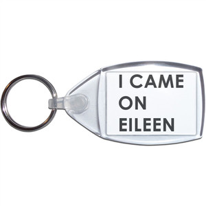 I Came On Eileen - Clear Plastic Key Ring Size Choice New