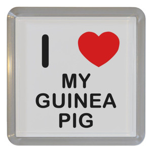 I Love My Guinea Pig - Plastic Tea Coaster / Beer Mat