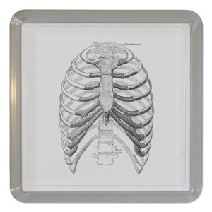 Ribcage - Plastic Tea Coaster / Beer Mat