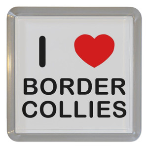 I Love Border Collies - Plastic Tea Coaster / Beer Mat