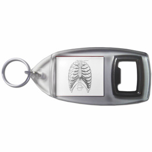 Ribcage - Plastic Key Ring Bottle Opener Ribcage - Plastic Key Ring Bottle Opener