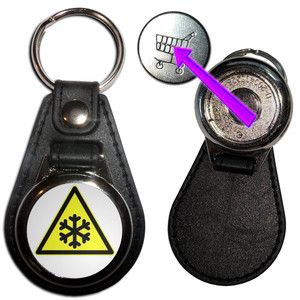 Low Temperature - Hidden £1/€1 Shopping Token Medallion Key Ring Low Temperature - Hidden £1/€1 Shopping Token Medallion Key Ring