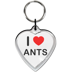 I Love Ants Small Heart Shaped Key Ring