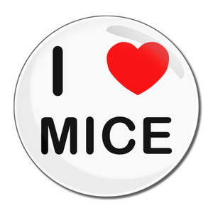 I Love Mice - Round Compact Mirror