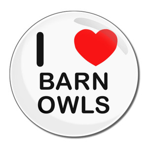 I Love Barn Owls - Round Compact Mirror I Love Barn Owls - Round Compact Mirror
