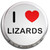 I Love Lizards - Fridge Magnet Memo Clip