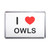 I Love Owls - Plastic Fridge Magnet
