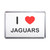 I Love Jaguars - Plastic Fridge Magnet