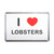 I Love Lobsters - Plastic Fridge Magnet