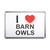 I Love Barn Owls - Plastic Fridge Magnet