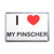 I Love My Pinscher - Plastic Fridge Magnet