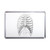 Ribcage - Plastic Fridge Magnet Ribcage - Plastic Fridge Magnet