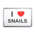 I Love Snails - Plastic Fridge Magnet