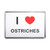 I Love Ostriches - Plastic Fridge Magnet
