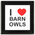 I Love Barn Owls - Square Glass Coaster