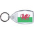 Wales Flag - Clear Plastic Key Ring Size Choice New