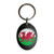 Wales Flag - Plastic Oval Key Ring Wales Flag - Plastic Oval Key Ring