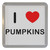 I love Pumpkins - Plastic Tea Coaster / Beer Mat